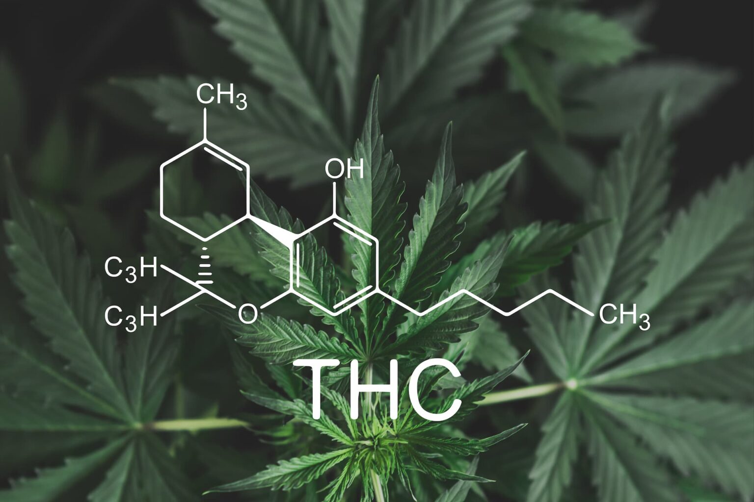 What are THC-B Products