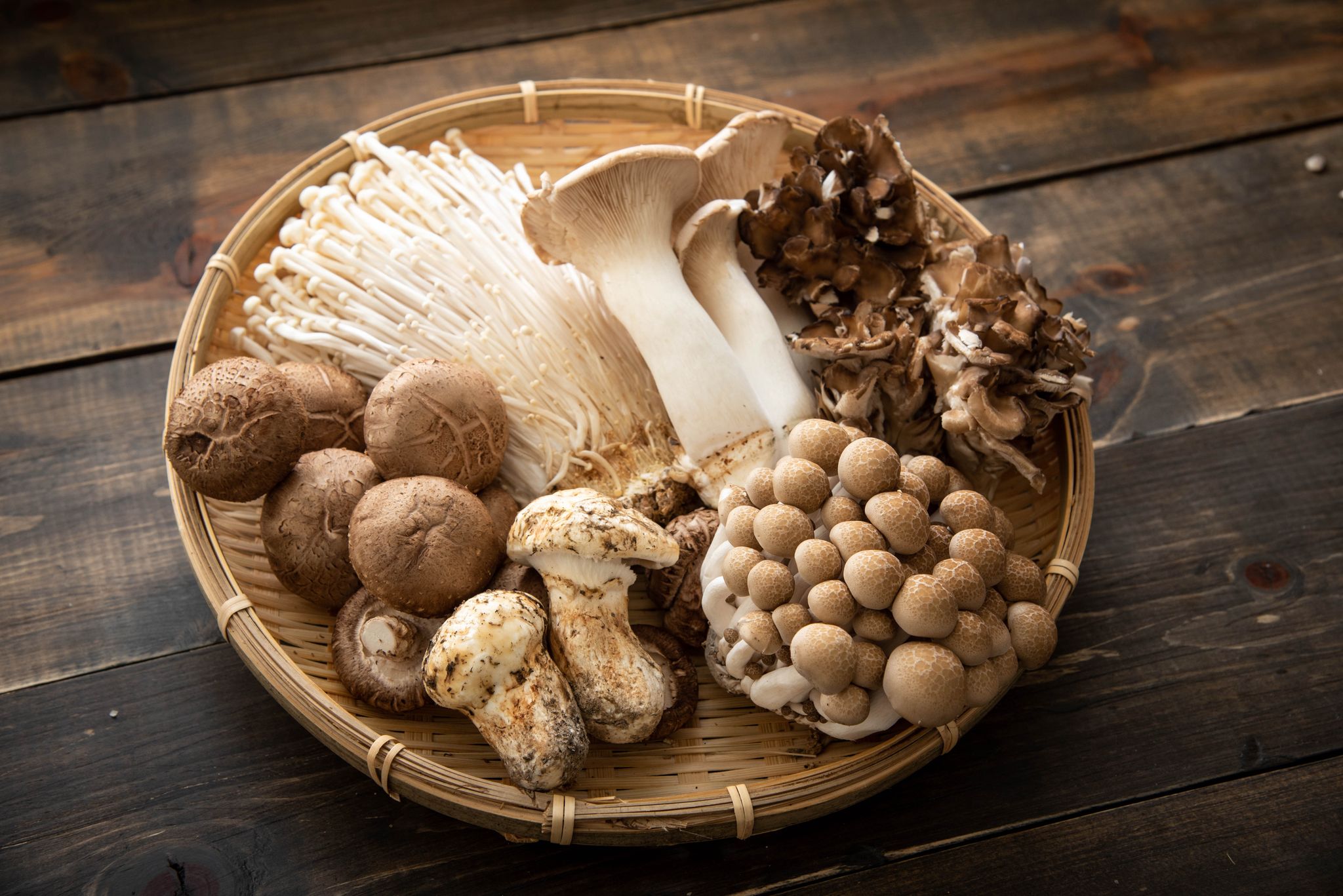 The Comprehensive Guide to the Benefits of Turkey Tail Functional Mushrooms