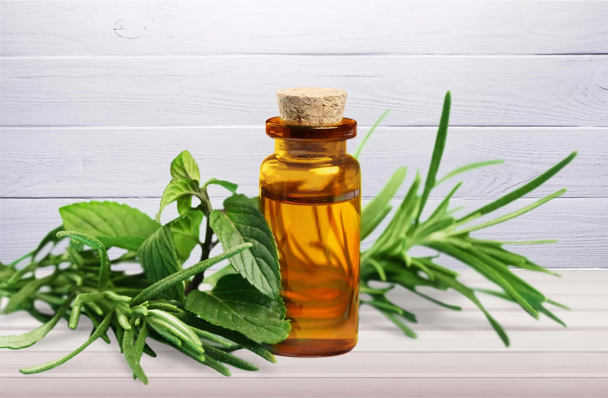 14 Everyday Uses for Tea Tree Oil